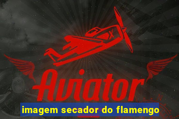 imagem secador do flamengo