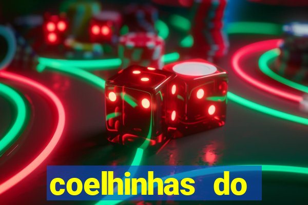 coelhinhas do brasil site