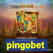 pingobet