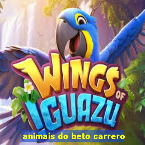 animais do beto carrero