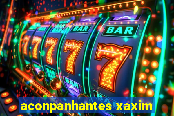 aconpanhantes xaxim